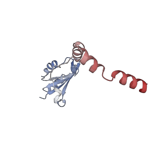 24421_8ev3_o_v1-2
Ytm1 associated 60S nascent ribosome (-Fkbp39) State 1B