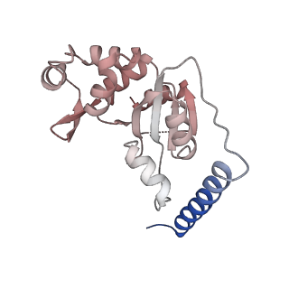 24421_8ev3_t_v1-2
Ytm1 associated 60S nascent ribosome (-Fkbp39) State 1B