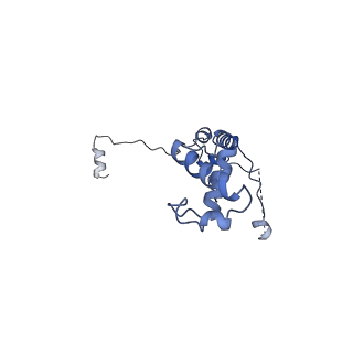 24421_8ev3_v_v1-2
Ytm1 associated 60S nascent ribosome (-Fkbp39) State 1B