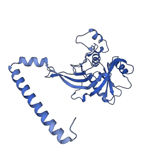 24421_8ev3_x_v1-2
Ytm1 associated 60S nascent ribosome (-Fkbp39) State 1B
