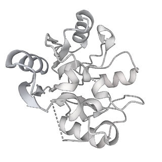 24421_8ev3_y_v1-2
Ytm1 associated 60S nascent ribosome (-Fkbp39) State 1B