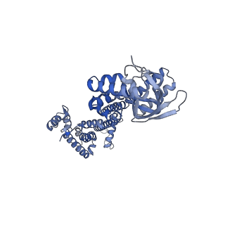 28622_8ev8_A_v1-0
Cryo-EM structure of cGMP bound truncated human CNGA3/CNGB3 channel in lipid nanodisc, closed state