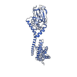 28622_8ev8_B_v1-0
Cryo-EM structure of cGMP bound truncated human CNGA3/CNGB3 channel in lipid nanodisc, closed state
