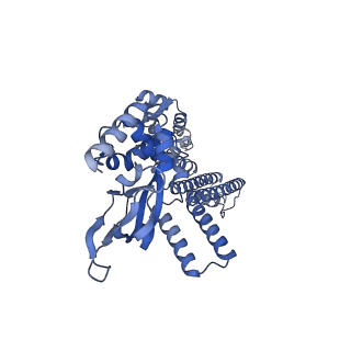 28622_8ev8_D_v1-0
Cryo-EM structure of cGMP bound truncated human CNGA3/CNGB3 channel in lipid nanodisc, closed state