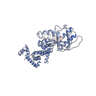 28623_8ev9_A_v1-0
Cryo-EM structure of cGMP bound truncated human CNGA3/CNGB3 channel in lipid nanodisc, transition state 1