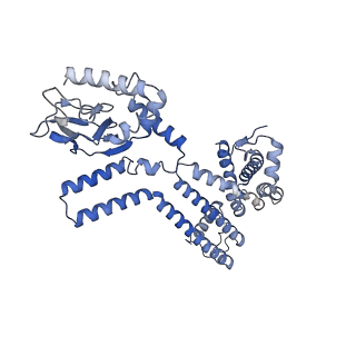 28623_8ev9_C_v1-0
Cryo-EM structure of cGMP bound truncated human CNGA3/CNGB3 channel in lipid nanodisc, transition state 1
