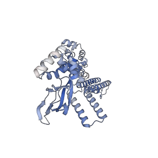 28623_8ev9_D_v1-0
Cryo-EM structure of cGMP bound truncated human CNGA3/CNGB3 channel in lipid nanodisc, transition state 1