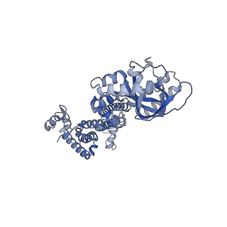 28624_8eva_A_v1-0
Cryo-EM structure of cGMP bound truncated human CNGA3/CNGB3 channel in lipid nanodisc, transition state 2