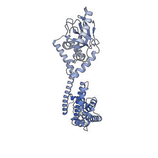 28624_8eva_B_v1-0
Cryo-EM structure of cGMP bound truncated human CNGA3/CNGB3 channel in lipid nanodisc, transition state 2