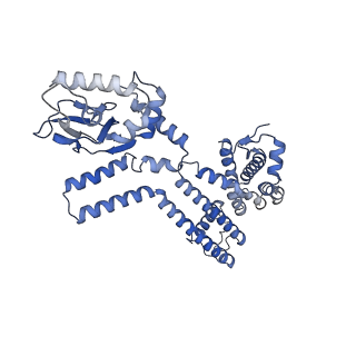 28624_8eva_C_v1-0
Cryo-EM structure of cGMP bound truncated human CNGA3/CNGB3 channel in lipid nanodisc, transition state 2