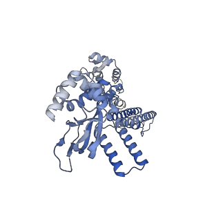 28624_8eva_D_v1-0
Cryo-EM structure of cGMP bound truncated human CNGA3/CNGB3 channel in lipid nanodisc, transition state 2