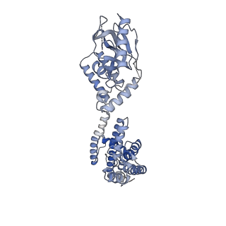 28625_8evb_B_v1-0
Cryo-EM structure of cGMP bound truncated human CNGA3/CNGB3 channel in lipid nanodisc, pre-open state