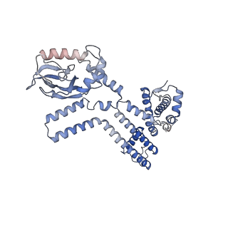 28625_8evb_C_v1-0
Cryo-EM structure of cGMP bound truncated human CNGA3/CNGB3 channel in lipid nanodisc, pre-open state
