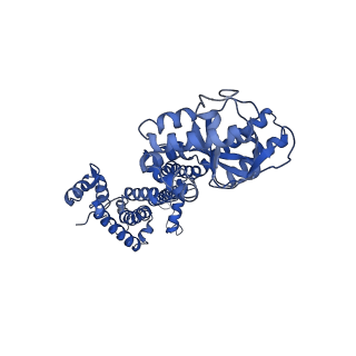 28626_8evc_A_v1-0
Cryo-EM structure of cGMP bound truncated human CNGA3/CNGB3 channel in lipid nanodisc, open state
