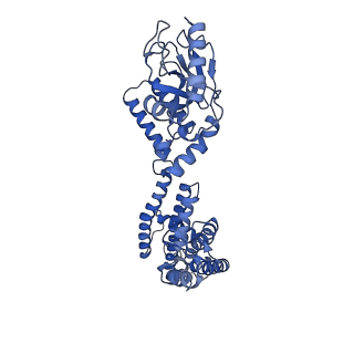 28626_8evc_B_v1-0
Cryo-EM structure of cGMP bound truncated human CNGA3/CNGB3 channel in lipid nanodisc, open state