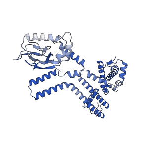 28626_8evc_C_v1-0
Cryo-EM structure of cGMP bound truncated human CNGA3/CNGB3 channel in lipid nanodisc, open state