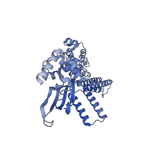 28626_8evc_D_v1-0
Cryo-EM structure of cGMP bound truncated human CNGA3/CNGB3 channel in lipid nanodisc, open state