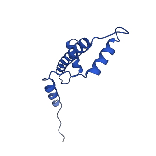 28628_8evg_A_v1-0
162bp CX3CR1 nucleosome (further classified with better nucleosome end)