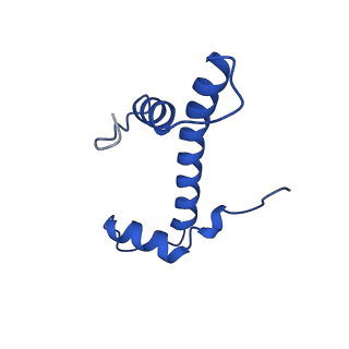 28628_8evg_B_v1-0
162bp CX3CR1 nucleosome (further classified with better nucleosome end)