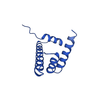 28628_8evg_D_v1-0
162bp CX3CR1 nucleosome (further classified with better nucleosome end)