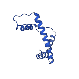 28628_8evg_E_v1-0
162bp CX3CR1 nucleosome (further classified with better nucleosome end)