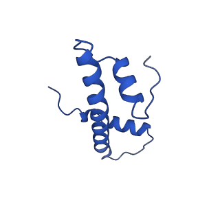 28628_8evg_F_v1-0
162bp CX3CR1 nucleosome (further classified with better nucleosome end)