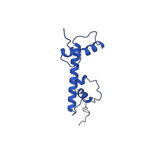 28628_8evg_G_v1-0
162bp CX3CR1 nucleosome (further classified with better nucleosome end)