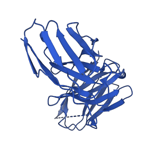 28628_8evg_M_v1-0
162bp CX3CR1 nucleosome (further classified with better nucleosome end)