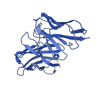 28628_8evg_N_v1-0
162bp CX3CR1 nucleosome (further classified with better nucleosome end)