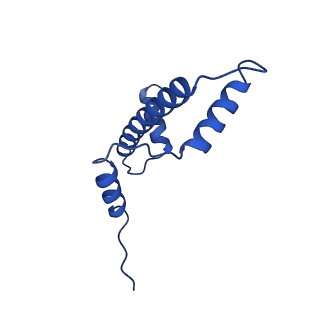 28629_8evh_A_v1-1
CX3CR1 nucleosome and wild type PU.1 complex