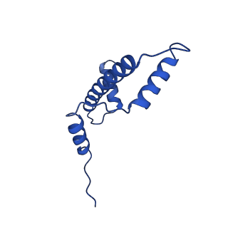 28629_8evh_A_v1-2
CX3CR1 nucleosome and wild type PU.1 complex