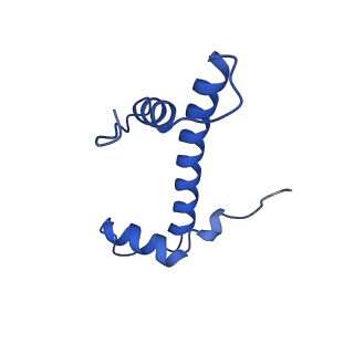 28629_8evh_B_v1-1
CX3CR1 nucleosome and wild type PU.1 complex
