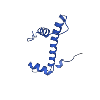 28629_8evh_B_v1-2
CX3CR1 nucleosome and wild type PU.1 complex