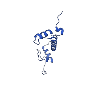 28629_8evh_C_v1-1
CX3CR1 nucleosome and wild type PU.1 complex