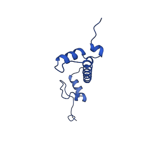 28629_8evh_C_v1-2
CX3CR1 nucleosome and wild type PU.1 complex