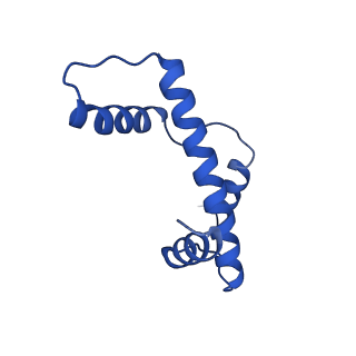 28629_8evh_E_v1-1
CX3CR1 nucleosome and wild type PU.1 complex