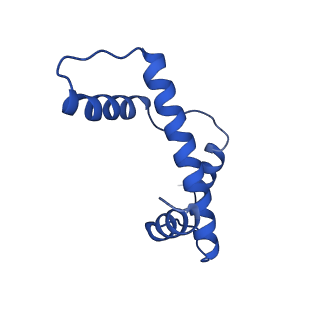 28629_8evh_E_v1-2
CX3CR1 nucleosome and wild type PU.1 complex