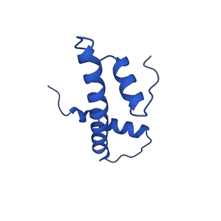 28629_8evh_F_v1-2
CX3CR1 nucleosome and wild type PU.1 complex