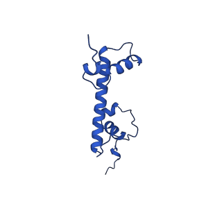 28629_8evh_G_v1-1
CX3CR1 nucleosome and wild type PU.1 complex