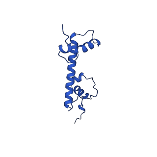 28629_8evh_G_v1-2
CX3CR1 nucleosome and wild type PU.1 complex
