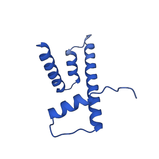 28629_8evh_H_v1-2
CX3CR1 nucleosome and wild type PU.1 complex