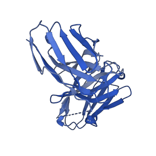 28629_8evh_M_v1-1
CX3CR1 nucleosome and wild type PU.1 complex