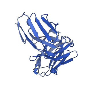 28629_8evh_M_v1-2
CX3CR1 nucleosome and wild type PU.1 complex