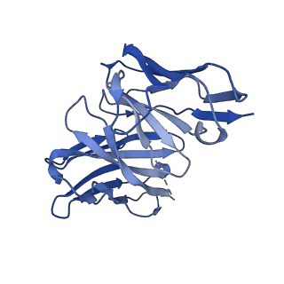 28629_8evh_N_v1-1
CX3CR1 nucleosome and wild type PU.1 complex