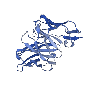 28629_8evh_N_v1-2
CX3CR1 nucleosome and wild type PU.1 complex