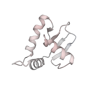 28629_8evh_O_v1-1
CX3CR1 nucleosome and wild type PU.1 complex