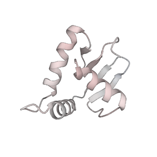 28629_8evh_O_v1-2
CX3CR1 nucleosome and wild type PU.1 complex