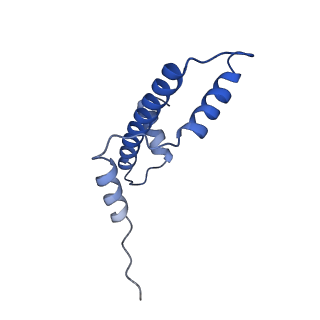 28630_8evi_A_v1-1
CX3CR1 nucleosome and PU.1 complex containing disulfide bond mutations