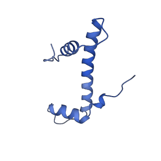 28630_8evi_B_v1-1
CX3CR1 nucleosome and PU.1 complex containing disulfide bond mutations