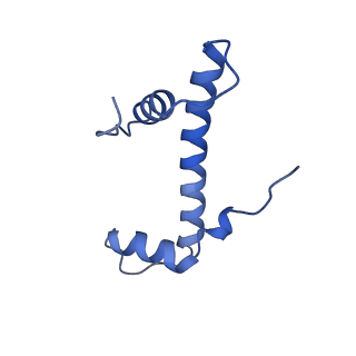 28630_8evi_B_v1-2
CX3CR1 nucleosome and PU.1 complex containing disulfide bond mutations